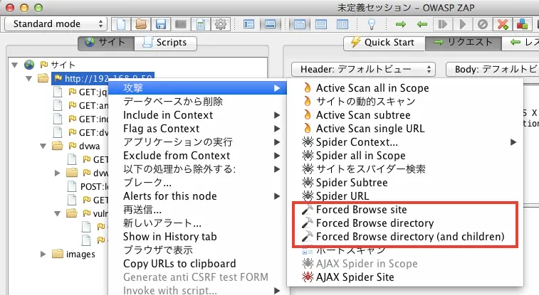 OWASP ZAP Forced Browse