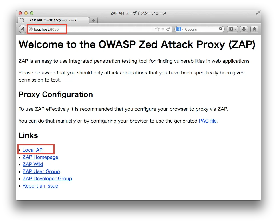 OWASP ZAP API